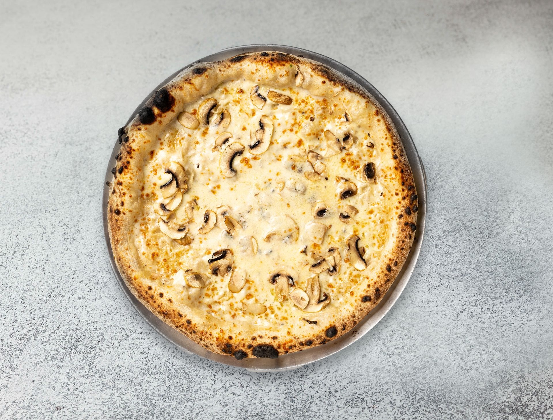 FIL_7294764_1735209948171